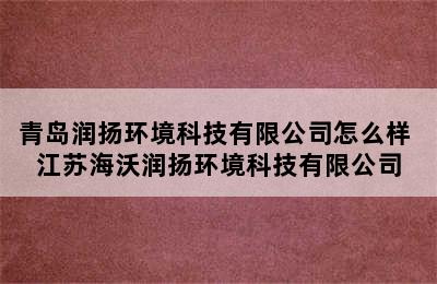 青岛润扬环境科技有限公司怎么样 江苏海沃润扬环境科技有限公司